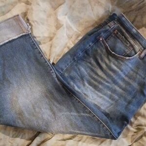 Terra & Sky Women's Blue Ankle Jeans